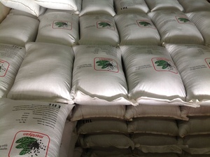 Poivre noir vietnamien en grains 1MM 1.5MM 2MM, traitement brut, AD 50kg/sac, 13.5% LINDA WS +84393250278 Pimienta muy pequena - Product Image 5