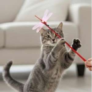 ของเล่นโยมมี่ ทนทาน แข็งแรง สำหรับสุนัขและแมว ของขวัญสุ่มพร้อมเสียง (มีเสียงบีบ) - Product Image 6