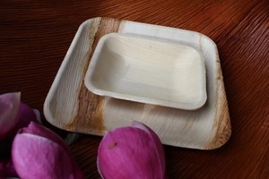 Assiettes carrées en feuilles de palmier Areca, très résistantes, 7 pouces, naturelles, compostables, pour cupcakes, fruits, collations et desserts, lot de 50 - Product Image 1