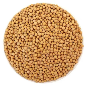 Soybean Seeds Agricultural Crop Seeds High Quality Planting Seeds Farm Use Wholesale Bulk Supply Export Supplier Manufacturer - Product Image 1
