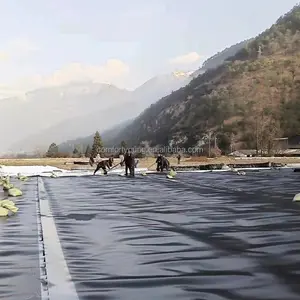 Schwarze wasserdichte Kunststoff-Teich folie Vorgeformte Fisch garnelen farm Teich folie 0,5mm HDPE-Geo membran für die Aquakultur