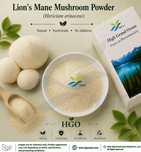 Approvisionnement direct d'usine HGO de poudre de champignon de crinière de lion naturelle pure (qualité alimentaire) poudre fongique (poudre de fruits ou de légumes) - Product Image 1