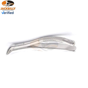 Jeu de 2 forceps d'extraction dentaire dentelés 150S et 151S – Instruments médicaux pour extraction dentaire, chirurgie buccale, usage éducatif - Product Image 5