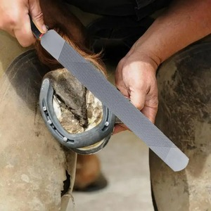 Raspador y Lima de Pezuñas Doble Cara de Acero Inoxidable Dorado para Caballos, Vacas, Burros, Cabras - Herramienta de Herrador Equino - Product Image 4