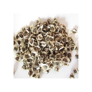 Graines de Moringa fraîches disponibles pour la plantation et les applications agricoles - Product Image 1