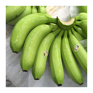 Bananes vertes Cavendish de qualité supérieure, fraîches et non mûres, pour la cuisson, la friture, l'ébullition et l'utilisation commerciale - Product Image 1