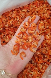 กุ้งแห้งเวียดนามพรีเมียม ยี่ห้อ 99 GOLD DATA น้ำหนัก 10 กก. อายุการเก็บรักษา 24 เดือน จำหน่ายส่งสำหรับผู้ซื้อขายส่งทั่วโลก รับผลิตตามความต้องการ - Product Image 2