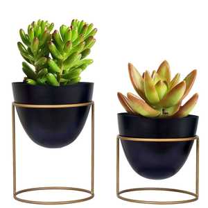 Macetas Modernas Negras con Soportes Metálicos Dorados para Plantas de Interior, Diseño Circular, Estilo Minimalista, para Escritorio - Product Image 3