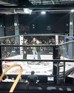 Cubierta de Lona para Ring de Boxeo IRSA SPORTS Personalizada, Cubierta de Piso de PVC/Vinilo Resistente, Modelo IRSA-254801, Equipo de Gimnasio OEM - Product Image 4