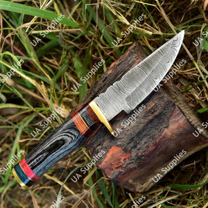 Couteau de chasse et de bushcraft professionnel à lame fixe en acier Damas ultra-affûté, manche en bois Pakka coloré, OEM - Product Image 3
