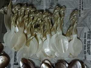 Elegant Shell <b>Spoon</b> Made from Real Mother of Pearl Polished Finish for Fine Dining and Gift Set by 99 Gold Data Manufacturer - Product Image 5