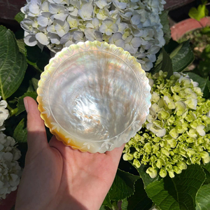 จานตกแต่งลายเปลือกหอยรูปไข่สไตล์โมเดิร์นสำหรับตกแต่งบ้านและโต๊ะอาหารในโรงแรม - Product Image 1