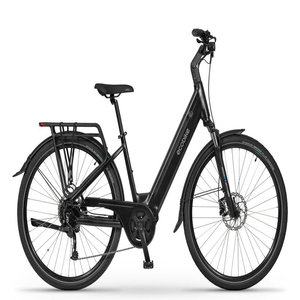 Vélo électrique le plus vendu Ecobikes LX 100 Noir - Product Image 1