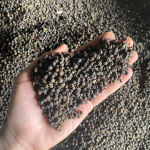 พริกไทยดำเวียดนาม 500 กรัม/ลิตร คำถามที่พบบ่อย คุณภาพดีสำหรับขายส่ง ส่งออก ราคาถูก จำนวนมาก - Product Image 1