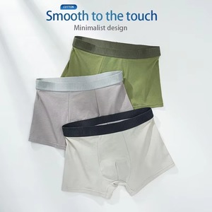 Men Sports <b>Boxer</b> Briefs Quick Dry Compression Gym Underwear OEM Supplier Wholesale Manufacturer Bulk - Product Image 6