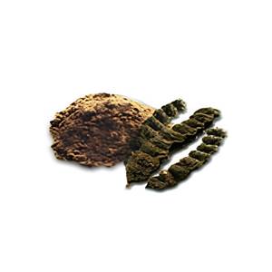 Proveedor de Extracto de Acacia Concinna en Polvo, Extracto Botánico Natural para Champú y Cuidado del Cabello, Fabricante OEM - Product Image 1