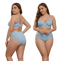 Ensemble soutien-gorge et culotte grande taille pour femme, broderie dentelle, bonnets à armatures, OEM ODM, taille personnalisée, séchage rapide, vente en gros, fournisseur direct d'usine