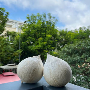 Noix de coco fraîche de qualité d'exportation du Vietnam cultivée naturellement avec une longue durée de conservation, idéale pour les jus au détail et les services alimentaires - Product Image 1