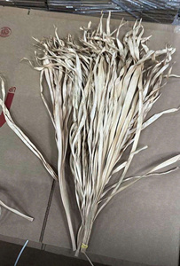 Frondes de palmier naturelles séchées multicolores, matériau de tissage professionnel teint pour l'artisanat DIY, fourniture en vrac écologique pour la décoration intérieure - Product Image 5