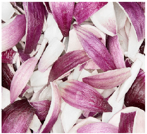 Flocons d'oignon aigre lyophilisés (FD) biologiques, fabriqués à partir d'oignons véritables, pour la cuisine, le camping, le stockage d'urgence, emballage sous vide léger - Product Image 3