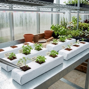 Sacs de culture jetables biodégradables Coco Grow en vrac pour hydroponie, semis, jardins et fermes - Prêts à l'emploi - Product Image 1