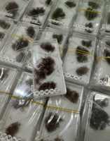 Ekstensi Bulu Mata Premade Warna Coklat, Campuran Panjang 0.07 Tebal, Curl CC/DD/M/L, Rambut Sintetis PBT Korea, Logo Custom