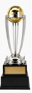 Golden Cricket <b>Trophy</b> <b>Cup</b> Winner Runner Up Metal Award For Sports Achievement Display - Product Image 4