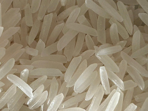 ข้าวหอมมะลิแท้ ST25 คุณภาพพรีเมียม เมล็ดยาว หอม กลิ่นหอม ไม่ใช่พืช GMO ผลิตในเวียดนาม ราคาดีที่สุด รับสั่งซื้อจำนวนมาก มาตรฐาน HACCP ISO - Product Image 4
