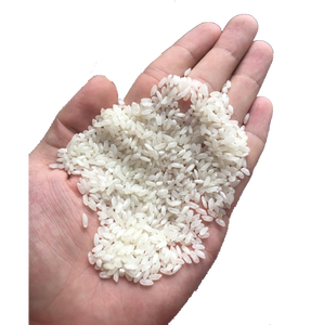 Arroz de grano de VIETNAM, arroz japonés 2022, venta al por mayor - Product Image 1