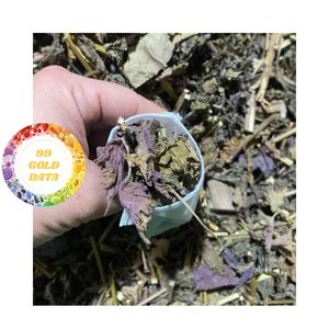 Té de Hoja de Perilla Morada 99 GD, 100gr 200gr, Paquete a Granel, 100% Natural, Hojas de Perilla, Proceso AD, Shiso Favorito Japonés - Product Image 6