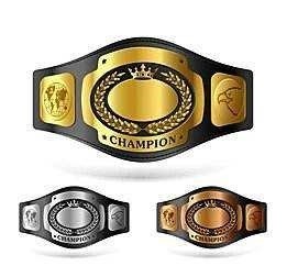 Customized Logos MMA Boxing World Heavyweight Championship Belts WBC Adult Size Brass Zinc Leather Strap Belt Adult Size - Product Image 3