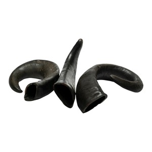 Friandise pour chien écologique en corne de buffle d'eau séchée, 100 % naturelle et brute, pour une vraie digestion saine - Product Image 2