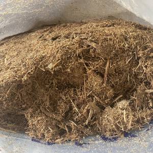 ใยชานอ้อยวัตถุดิบแห้งสำหรับอาหารสัตว์36เดือนอายุการเก็บรักษา VN - Product Image 3