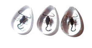 Cabochon Black Scorpion Pear Shape cut <b>top</b> 25x17 mm Clear Flat Bottom for Crafts and Jewelry Making - Product Image 4