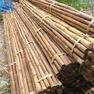 Bâtons de canne brute sèche à vendre, qualité supérieure, naturels, robustes, en rotin manau. - Product Image 4