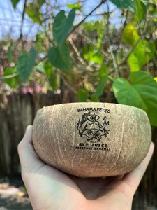 Venta al por mayor de cuencos de cáscara de coco hechos de cáscara de coco 100% natural con logotipo grabado con láser y tamaño personalizado - Product Image 6