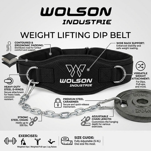 Heavy Duty Dip <b>Belt</b> with Steel <b>Chain</b> for Weighted Pull Ups Dips Strength Training Gym Fitness Equipment. - Product Image 5