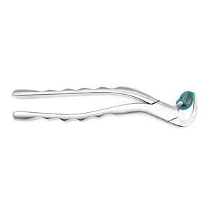 High Quality Reusable Dental Surgical Extraction Forceps for Professional Dental Clinic Use - Product Image 2