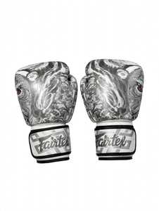 Gants de boxe Fairtex en cuir couleur argent, nouvelle collection, très demandés, avec fermeture auto-agrippante et sangles réglables pour le kick-boxing et les arts martiaux - Product Image 1