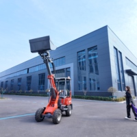 RG-EV04 Mini Sollevatore Telescopico Elettrico con Batteria 60V, Consegna Rapida, Direttamente dalla Fabbrica per Piccoli Lavori Industriali