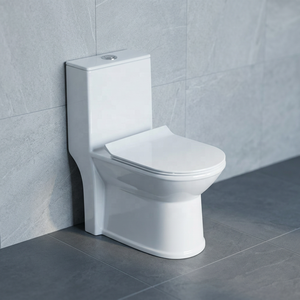 Inodoro de cerámica de una pieza, directo de fábrica, sanitario moderno con sistema sifónico, precio en India. - Product Image 2
