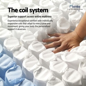 Spiral Pocket Spring Coil <b>Mattress</b> <b>Support</b> System High Carbon Steel Wire Customized for <b>Mattress</b> Manufacturing - Product Image 4