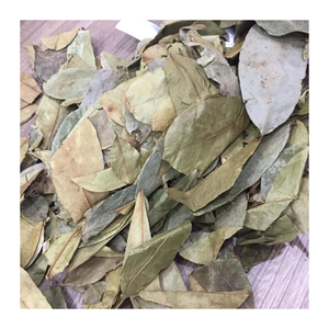 ใบฝรั่งอบแห้ง 100% จากธรรมชาติ สำหรับชงชาสมุนไพร ผลิตเครื่องดื่ม นำเข้าจากเวียดนามโดยตรง - Product Image 5