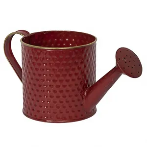 Arrosoir moderne en métal rouge pour accents d'intérieur contemporains, idéal pour plantes d'intérieur et suspendues, Axiom sophistiqué - Product Image 1