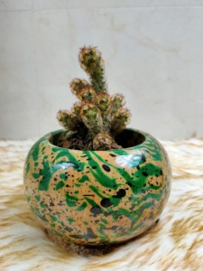 Maceta de madera tallada a mano con patrón circular, estilo rústico, para plantas de interior, para cactus, suculentas, decoración de escritorio - Product Image 3