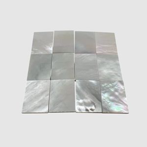 Placa de Nácar Natural Blanca, Material Decorativo para Incrustaciones en Muebles, Joyería, Manualidades y Bricolaje - Product Image 1