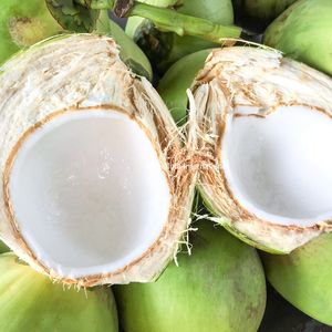 Noix de coco fraîche naturelle à découper, pour consommation humaine, vente en gros - Product Image 5