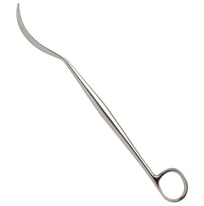 LANE 255mm Bone Leviers Fabricant Fournisseur Prix de gros Acier inoxydable par VIDIFIVE INTERNATIONAL - Product Image 2