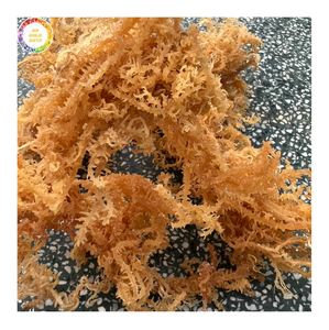 Algas Cottonii Secas Naturales, Materia Prima de Alta Calidad para el Procesamiento de Alimentos y Producción de Carragenano, Venta al por Mayor Global - Product Image 1