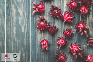 Flor de Hibisco Seca de Primera Calidad, Té Herbal, Proveedor de Vietnam - Product Image 5